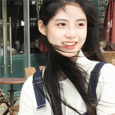 极地熊踪