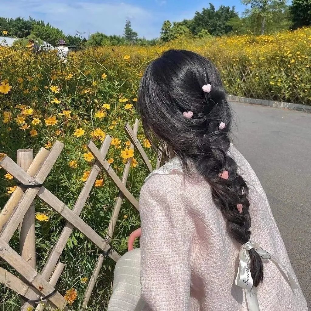 无毛犬奇遇记