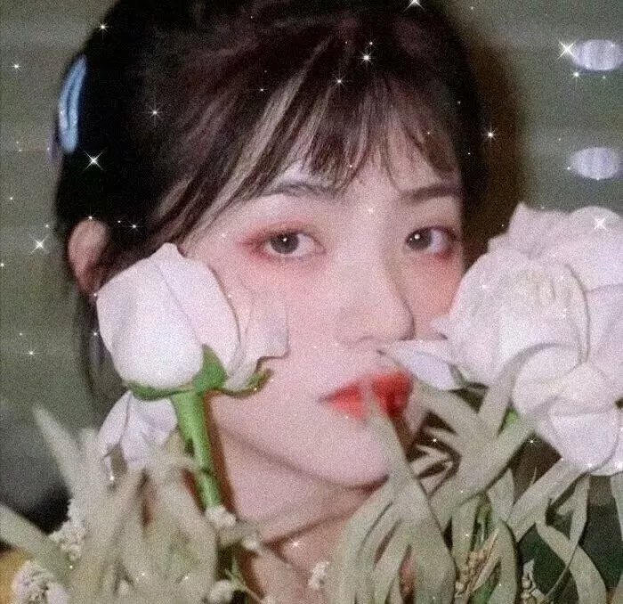 饵